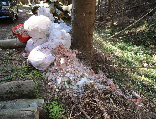 Vermehrt wird Müll illegal in der Natur entsorgt. Die Polizei bittet Zeugen um Hinweise. (Archivbild) Foto: Polizei