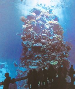 Beeindruckt  sind die Leidringer Ausflügler von der  Unterwasserwelt des Great Barrier Reef, die im Gasometer in Pforzheim auf einem  Rundbild derzeit zu sehen ist. Foto: Ruf Foto: Schwarzwälder Bote