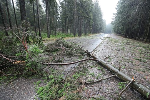 Umgestürzte Bäume haben vielerorts die Straße blockiert. Im Schwarzwald-Baar-Kreis fuhr ein Fahranfänger mitten in der Nacht gegen einen. (Symbolfoto) Foto: Eich