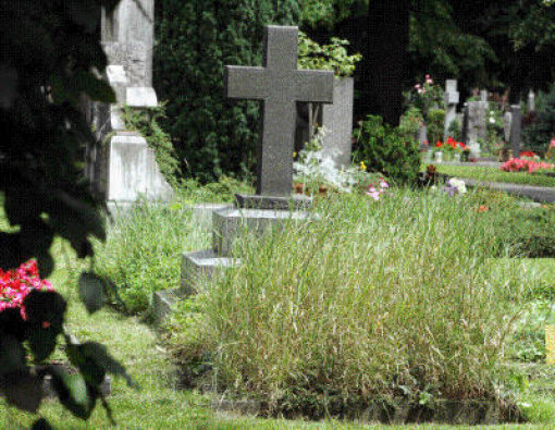 Unbekannte haben auf dem Gültlinger Friedhof mehrere Gräber beschädigt (Symbolfoto). Foto: Kraufmann