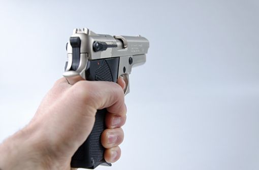 Einer der Täter zückte eine Pistole.(Symbolbild) Foto: pixabay