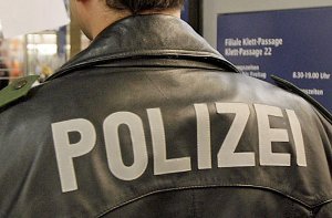 Polizeibeamte müssen am Montag bei einer Veranstaltung der AfD in Wendlingen die Lage beruhigen. (Symbolbild) Foto: dpa