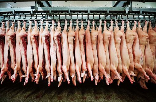 2,1 Millionen Schweine will Müller Fleisch 2021 schlachten. Foto: dpa/Mohssen Assanimoghaddam
