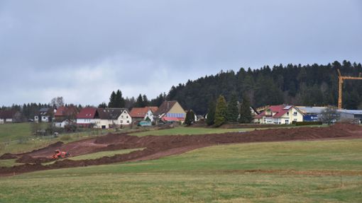 Am Rande des Quellgebiets des Rötenbachs tun sich Erdhügel auf – die Gemeinde baut in diesem Bereich unter anderem die Oberflächenentwässerung für das Gebiet Herdweg/Strut. Foto: Wegner