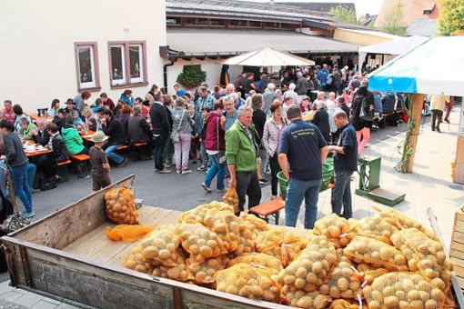 Die Kartoffel steht im Mittelpunkt des Reiselfinger Herdepfelfestes am kommenden Wochenende. Serviert wird dieses  kulinarische  Allround-Talent mit viel Musik.   Foto: Bächle Foto: Schwarzwälder Bote
