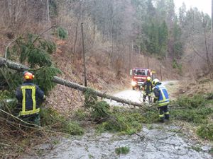 Auch an der Langensteige in Altoberndorf hielten Bäume dem Sturm nicht Stand. Foto: Feuerwehr