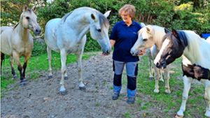 Ihre Pferde Casy (von links) und  Cloud und die Ponys Fips und Bella gehören für Ute Stingl zur Familie. Foto: Merz