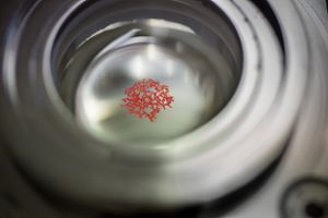 Mikroplastikpartikel sind in einer Wasserprobe in einem Labor zu sehen (Symbolbild). Foto: Tristan Vankann/Alfred-Wegener-Institut/dpa