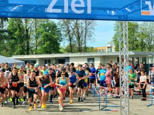 Beste Bedingungen beim 20. VR-Halbmarathon in Geislingen.  Foto: Breisinger