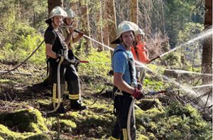 Die gute Zusammenarbeit der Feuerwehren aus Triberg und Vöhrenbach im Rahmen des Waldbrand-Kontingents des Schwarzwald-Baar Kreises ist  ein wesentliches Ziel bei der jüngsten Waldbrand-Übung. Foto: Feuerwehr Vöhrenbach