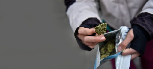 Der Mann verkaufte in der Doppelstadt 18 Kilogramm Marihuana. Foto: Abarenga