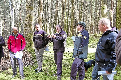 An vier Waldbildern erläuterten die Forstexperten den Mitgliedern des Niedereschacher Gemeinderates und der Verwaltung, wie eine nachhaltige Waldwirtschaft aussieht und was, weshalb in den nächsten zehn Jahren waldbaulich geplant ist.  Foto: Bantle Foto: Schwarzwälder-Bote