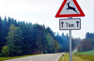 Vorsicht, Wildwechsel: Solche Warnschilder an bestimmten Straßenabschnitten weisen auf die Gefahren einer Begegnung des Autofahrers mit Wildtieren hin. Foto: Gräff