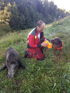Die Jagd ist vorbei. Auf dem Bild Peter Weissinger mit dem Keiler und dem Bayerischen Gebirgsschweißhund Tarik.  Foto: Pastoors
