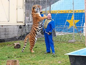 Sascha Prehn mit einem der sibirischen Tiger. Diese haben schon dafür gesorgt, dass einige Städte ihnen den Auftritt verboten haben.  Foto: Straub