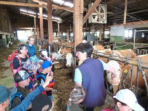 Im Bauernhof der Familie Epting erfuhren die Kinder einiges über die Kühe und das Melken. Foto: Schule Foto: Schwarzwälder-Bote