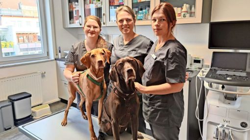 Diana Lehner (Mitte) und ihre Tiermedizinischen Fachangestellten Katja Gubler (links) und Nadine Zündel kümmern sich gut um die Lieblinge der Patienten. Foto: Cools