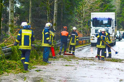 Umgestürzte Bäume beschäftigten auch die Feuerwehr in Bad Teinach-Zavelstein. Foto: Kreisfeuerwehrverband Calw | Udo Zink