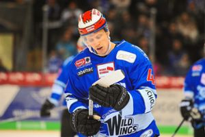 Verteidiger Jussi Timonen könnte bald in den Kader der Wild Wings zurückkehren. Foto: Eibner
