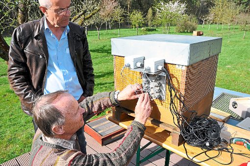 Thomas Radetzki von Mellifera und Randolf Menzel von der FU Berlin inspizieren den Umweltspäher-Bienenstock, der mit dem Internet verbunden ist. Foto: Mellifera