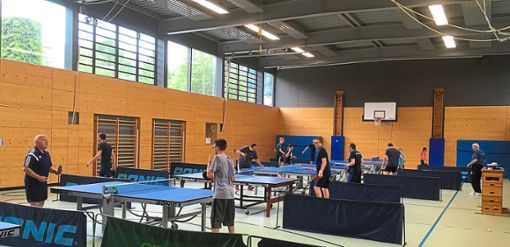 Beim Tischtennis-Camp des VfL Nagold gab es Tipps von den    besten Spielern des VfL. Foto: VfL Foto: Schwarzwälder Bote