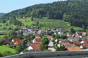 Der Ortsvorsteher ist gerne auf Hopfaus Höhen, um einen schönen Blick über das Dorf zu bekommen. Dazu gibt es zahlreiche Wanderwege.  Fotos: Cools Foto: Schwarzwälder-Bote