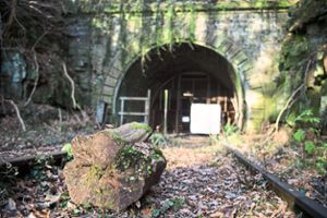 Ein verwitterter Holzklotz liegt vor einem Eingang des Hirsauer Eisenbahn-Tunnels bei Calw.   Foto: Mirgeler