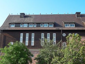 In Reih und Glied: Jungstörche pausieren auf ihrem Weg Richtung Süden auf dem Dach des Ringhofs. Foto: Herrmann