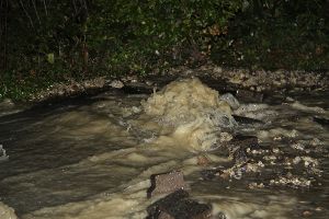 Als das Wasserwerk vor Ort war, sprudelte eine Wasserfontäne aus den Pflastersteinen des Gehwegs. Foto: kamera24.tv
