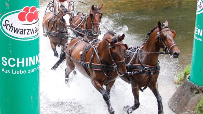 CHI bietet Pferdesport vom Feinsten