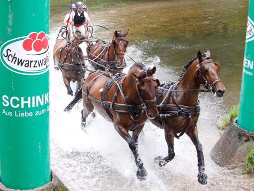 Pferdesport vom Feinsten gibt es in Donaueschingen zu sehen. Foto: Roger Müller