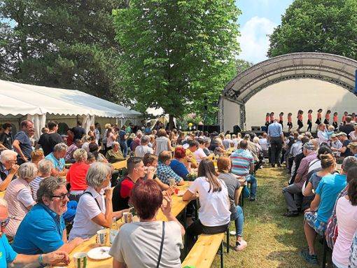 Zahlreiche Gäste erfreuten sich am Programm auf der Bühne im Kurpark. Foto: Gemeinde Schömberg Foto: Schwarzwälder Bote