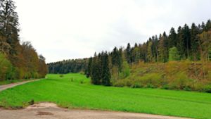Ab Höhe des Jägersteins im Tal in Sulz   sind Flächen für Windkraft in Richtung Jettingen ausgewiesen. Außerdem Flächen auf Gültlinger Gemarkung in Richtung Stammheim und Gechingen. Foto: Menzler