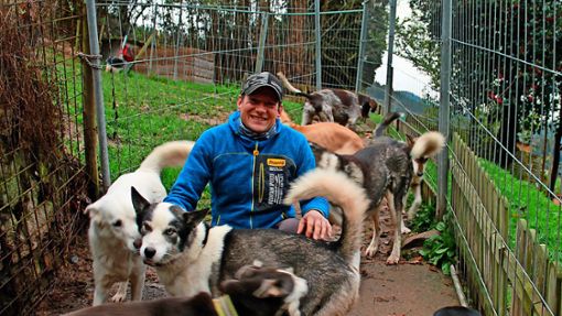 Roland Sum bereitet sich mit seinen acht Huskys auf die bevorstehende Wintersaison vor. Foto: Störr