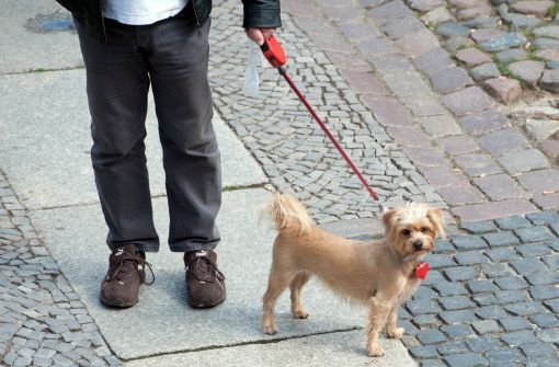 Wenn Hund nicht folgen will, wird Herrchen rabiat: So geschehen in Tuttlingen. (Symbolfoto) Foto: dpa-Zentralbild