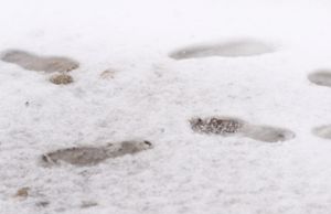 Der Winter kehrt zurück: Laut Wettervorhersage des DWD fällt am Wochenende Schnee im Zollernalbkreis. Foto: dpa/Matthias Bein
