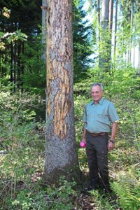 Andreas Wolf steht neben einem von Borkenkäfern befallenen Baum.  Fotos: Harich Foto: Schwarzwälder Bote
