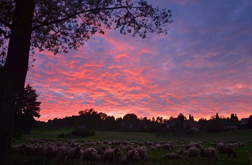 Magische Momente am herbstlichen Himmel: Sonnenuntergangs-Spektakel bei Filderstadt. Foto: Leserfotograf toller-ede