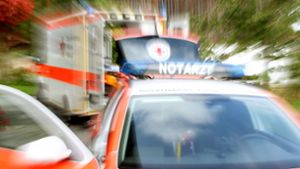 Auto prallt gegen Holzstoß - Fahrerin verletzt