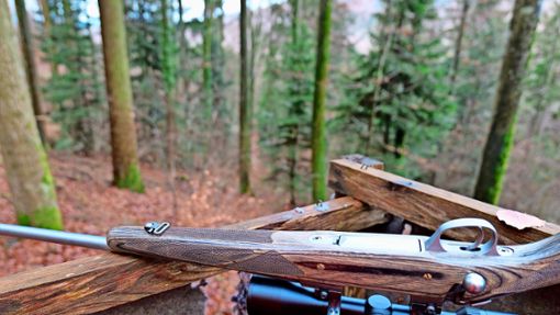 Dieses Bild ist bei einer Drückjagd im Wald des  Lahrer Stadtteils Reichenbach entstanden. Das Gewehr gehört Holger Schütz, Leiter des Forstbezirks Mittleres Rheintal der staatlichen Forstverwaltung Forst BW. Foto: Forst BW