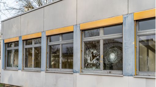 In der Silvesternacht waren am Kehler  Einstein-Gymnasium Scheiben eingeschlagen worden. Foto: Stadt