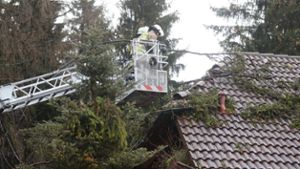 Sturm: Tanne begräbt Wohnhaus unter sich
