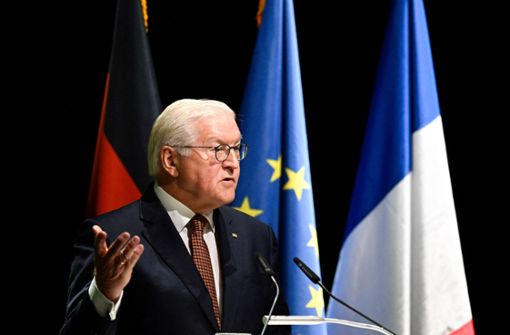 Bundespräsident Steinmeier sprach beim Festakt zum 75-jährigen Bestehen des Deutsch-Französischen Institutes in Ludwigsburg. Foto: AFP/THOMAS KIENZLE