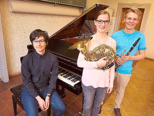 Sven Morutzan (von links), Sarah Schirmaier und Philipp Heine erhalten  erste Preise beim Landeswettbewerb Jugend musiziert. Foto: Jugendmusikschule Foto: Schwarzwälder-Bote