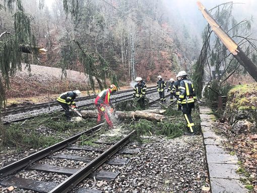 Der den Zugverkehr behindernde Baum wird zersägt. Foto: Feuerwehr