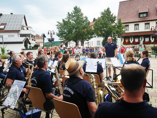 Sowohl das große Orchester als auch die Nachwuchsmusiker des Musikvereins Hartheim haben beim der Sommerserenade den guten Ton getroffen. Fotos: Kirschbaum Foto: Schwarzwälder Bote