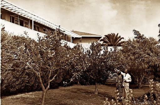 Thomas Mann und seine Frau Katja im Garten ihres jetzt langfristig geretteten Exil-Zuhauses in  Pacific Palisades. Foto: AP
