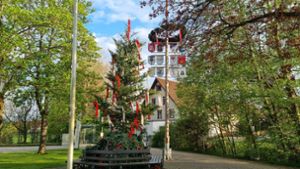 Missgeschick in Locherhof: Hoppla – plötzlich bricht der Maibaum  ab