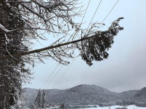 Bäume in den Freileitungen machten der Netze BW GmbH im Heuberggebiet – wie im Bild bei Reichenbach-Egesheim – schwer zu schaffen.  Foto: Netze BW