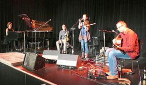 Fiddles & Feet traten im Festspielhaus Simmersfeld auf. Foto: Stadler Foto: Schwarzwälder Bote